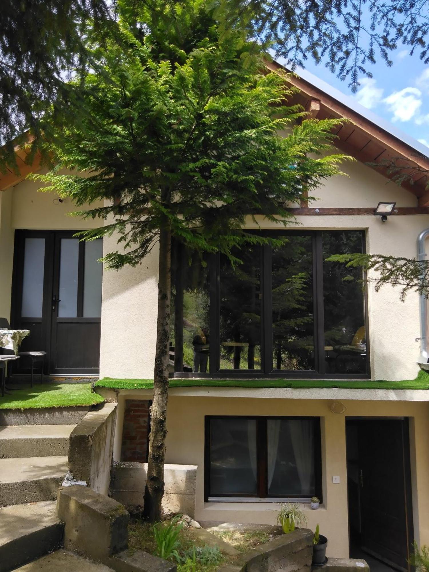 Villa Dom Sa Pogledom Jela Jelasnica  Exterior foto