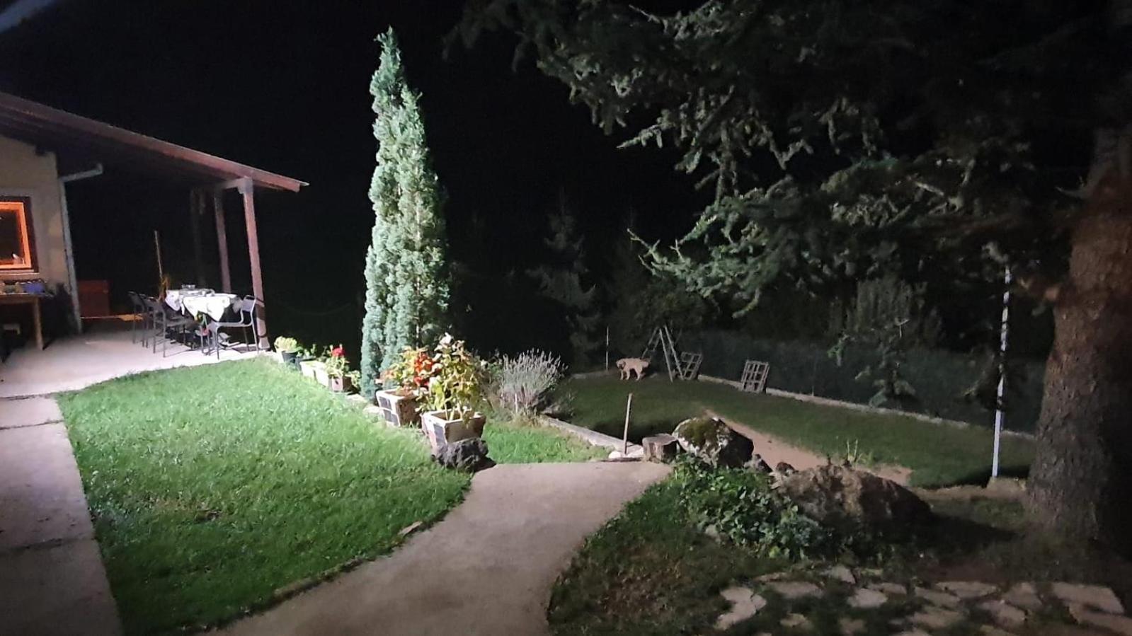 Villa Dom Sa Pogledom Jela Jelasnica  Exterior foto